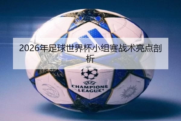 2026年足球世界杯小组赛战术亮点剖析