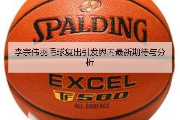 李宗伟羽毛球复出引发界内最新期待与分析